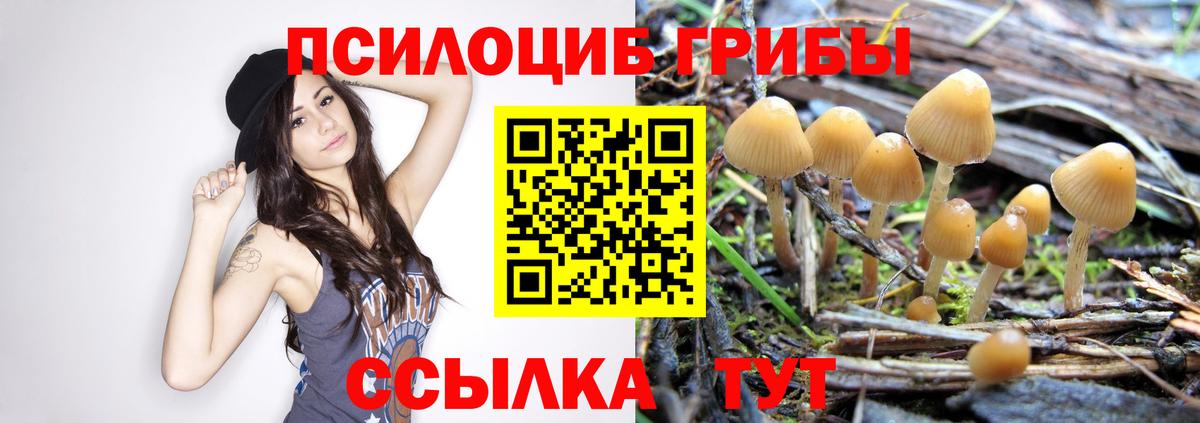 Галлюциногенные грибы ЛСД Петровск